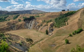 More than 250,000 hectares of hill country in Hawke's Bay is considered high risk for erosion.