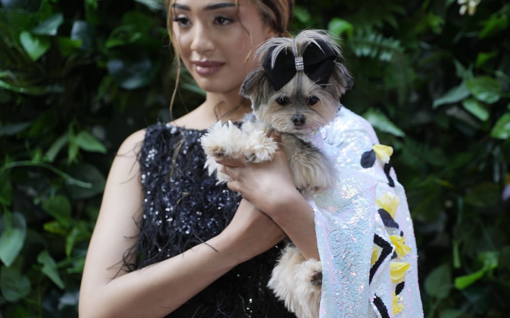 A dog and model attend the Pet Gala fashion show at AKC Museum of The Dog, Monday, May 20, 2024, in New York.