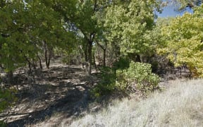 The man was found on the bank of the Rio Grande in the Bosque wilderness area, according to local media.