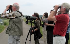 Bird watchers