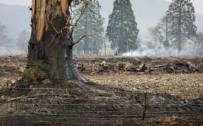 A fire fanned by strong winds at Glentui, Canterbury.