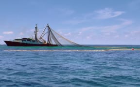 Commercial fishing in the Hauraki Gulf