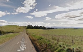 Woman breaks a leg after tree falls