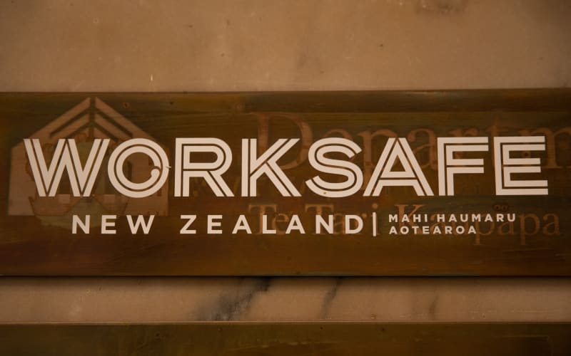 Company admits failing to protect worker safety after fatal fall | RNZ