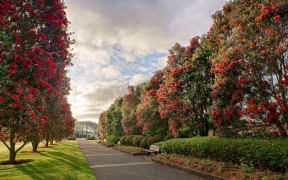 Auckland Botanic Gardens