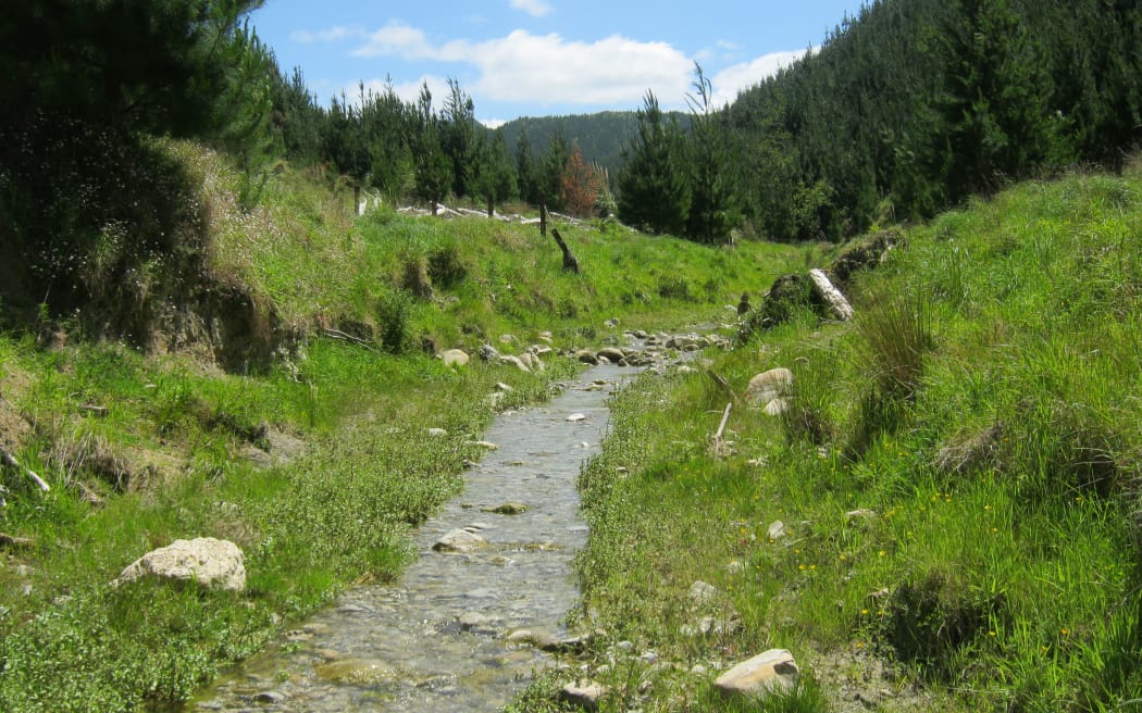 Existing riparian setback zones that will be established in native plants to create a permanent buffer around the waterways.