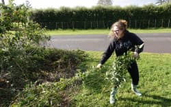 Aroha Chase tackles a roadside infestation at Pakaraka, in the Far North.