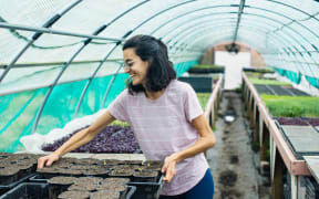 Farm manager Coral Remiro tending to seedlings.