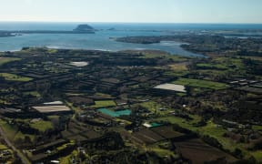 Western Bay of Plenty could have fewer community boards that represent all areas of the region.
