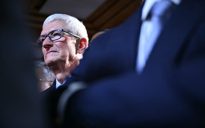 Apple CEO Tim Cook to step down after more than a decade | RNZ