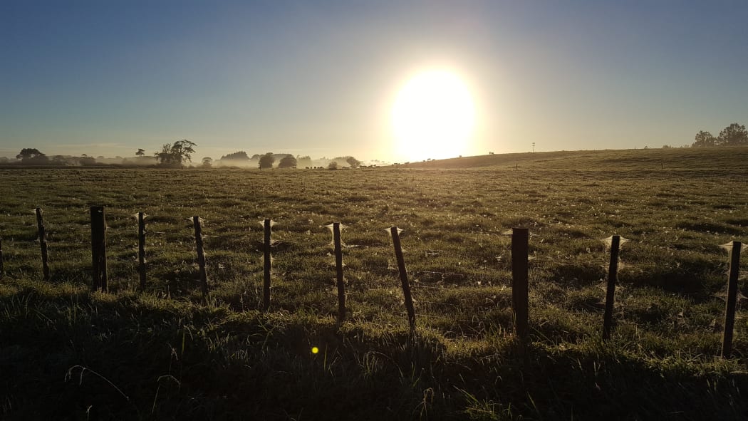 Early autumn morning Waikato