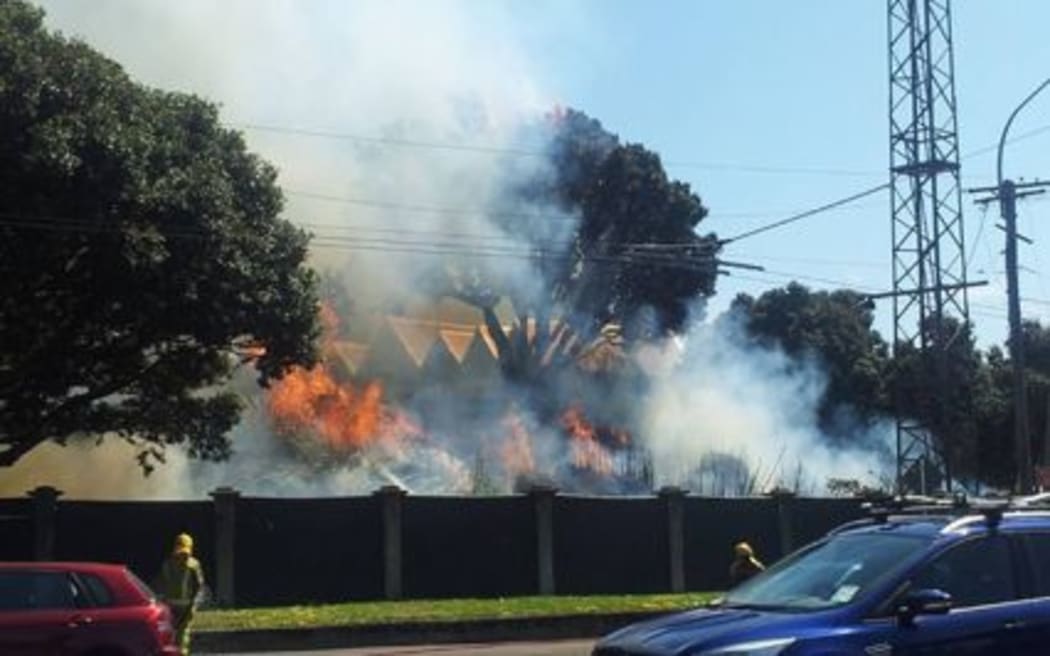 Scrub fire at Wellington's Basin Reserve.