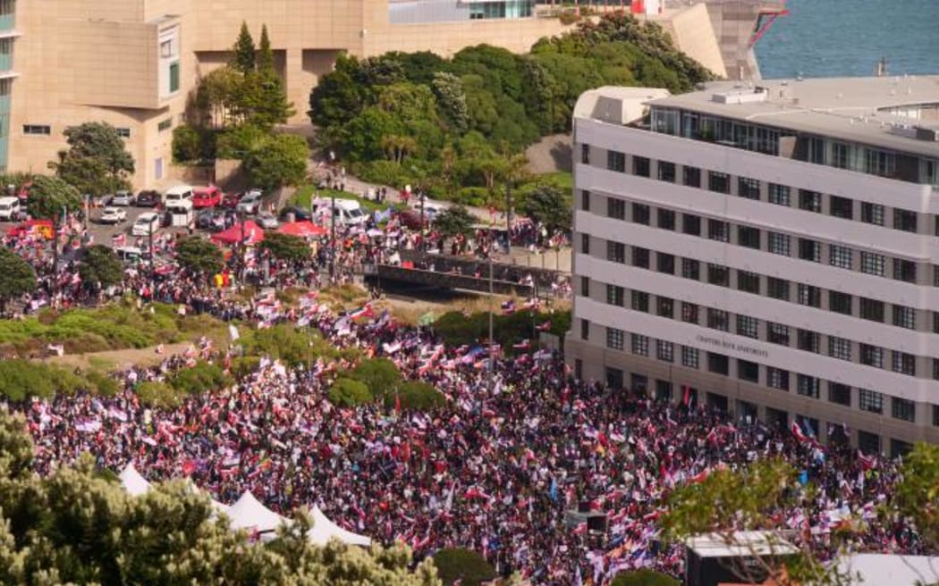 Birdseye view of the hikoi