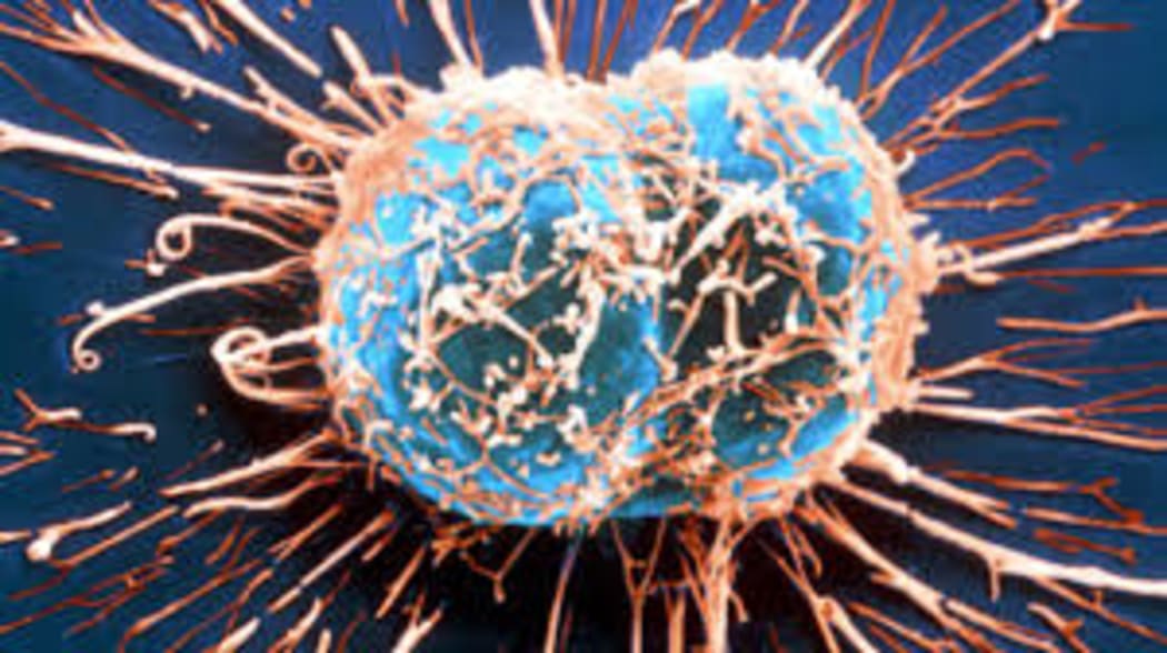Cancer Cell