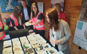 Labour leader Jacinda Ardern during her policy announcement on Sunday morning at Sustainable Coastlines in Auckland.