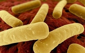 Antimicrobial Resistance