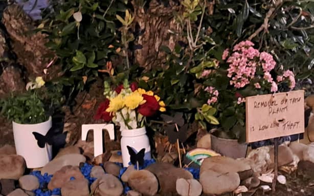 Items that had now disappeared from the tree at Arkles Bay.