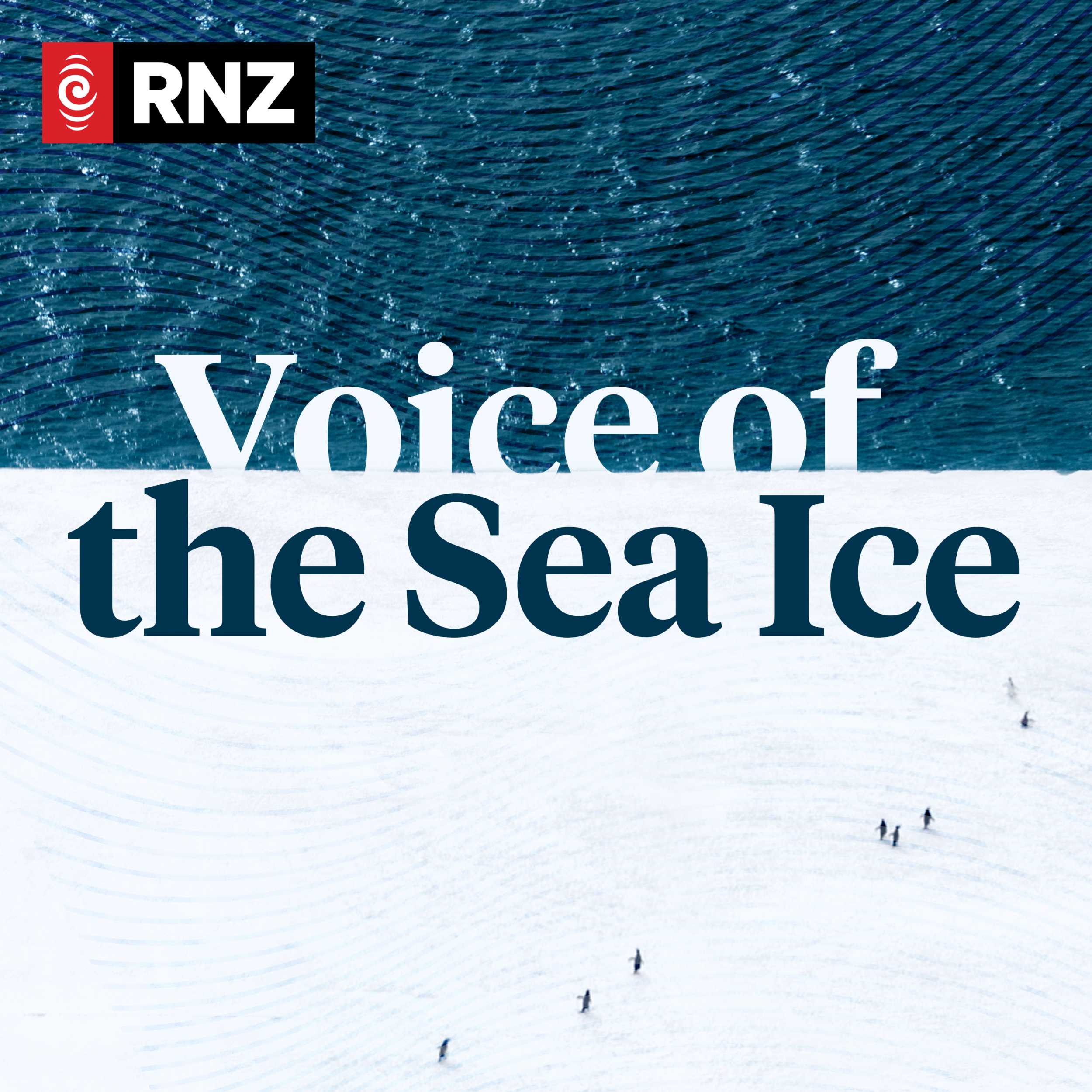 Bonus: RNZ climate correspondent Eloise Gibson