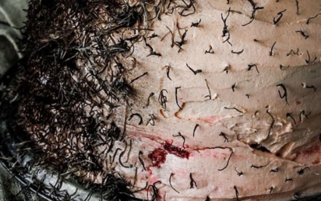 Fiona Hugues' hairy cake, close up