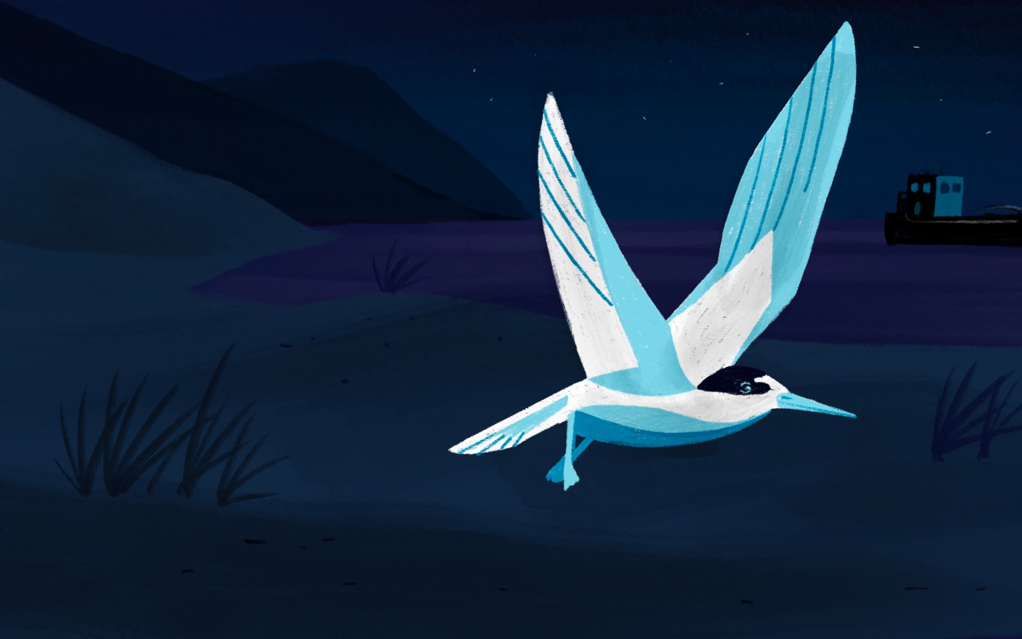 Stylised illustration of Fairy Tern flying over sand dunes with sand dredge ship in background