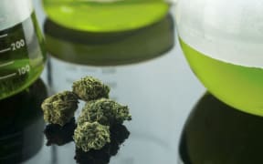 cannabidiol