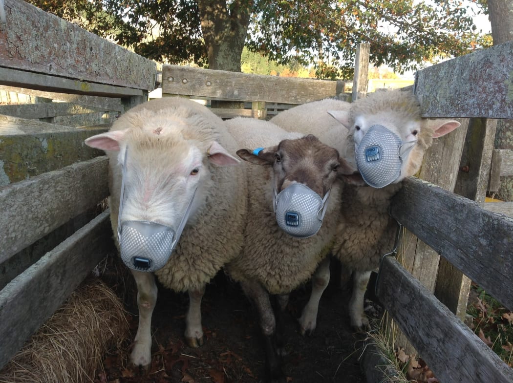 Marlow Farm in lockdown!