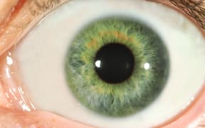 Human eye close-up