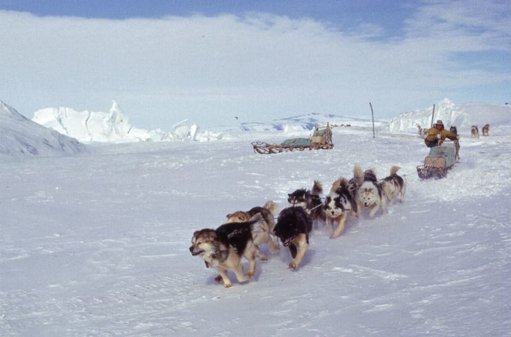 Chris Knott leaving the dog lines at Scott Base for a training trip, 1969.