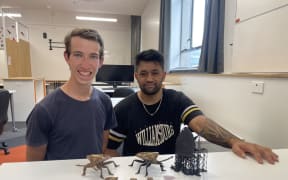 3D-Printed brown marmorated stink bugs