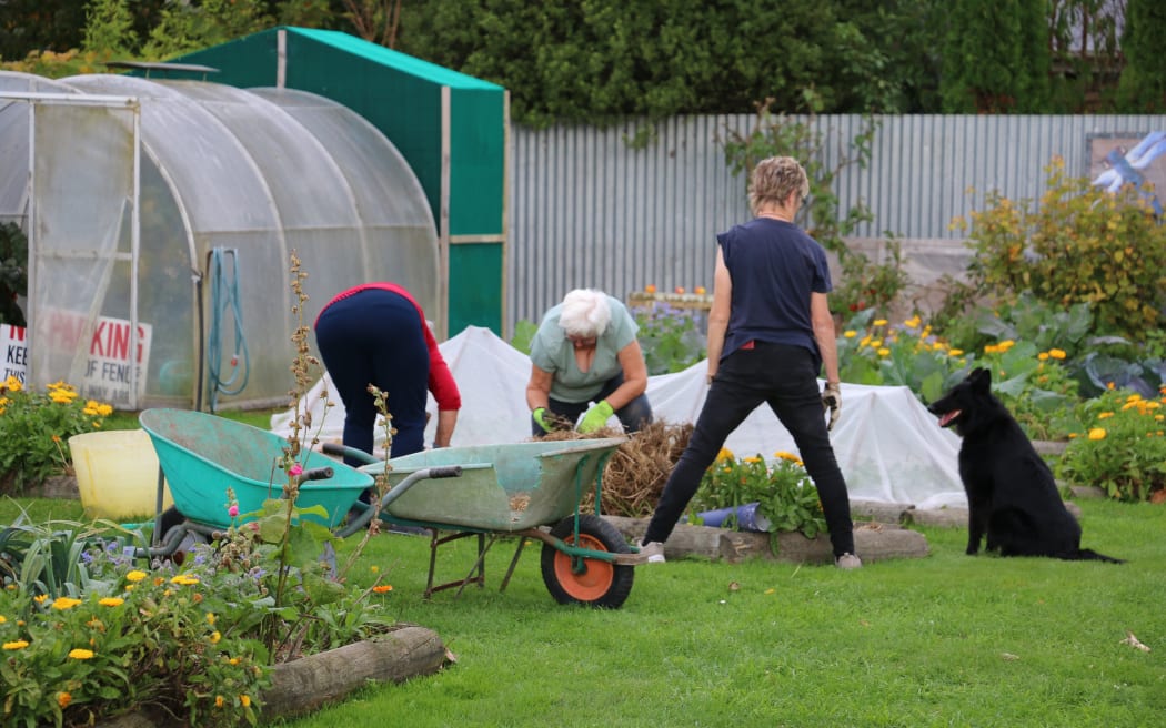 Kaiapoi Community Garden