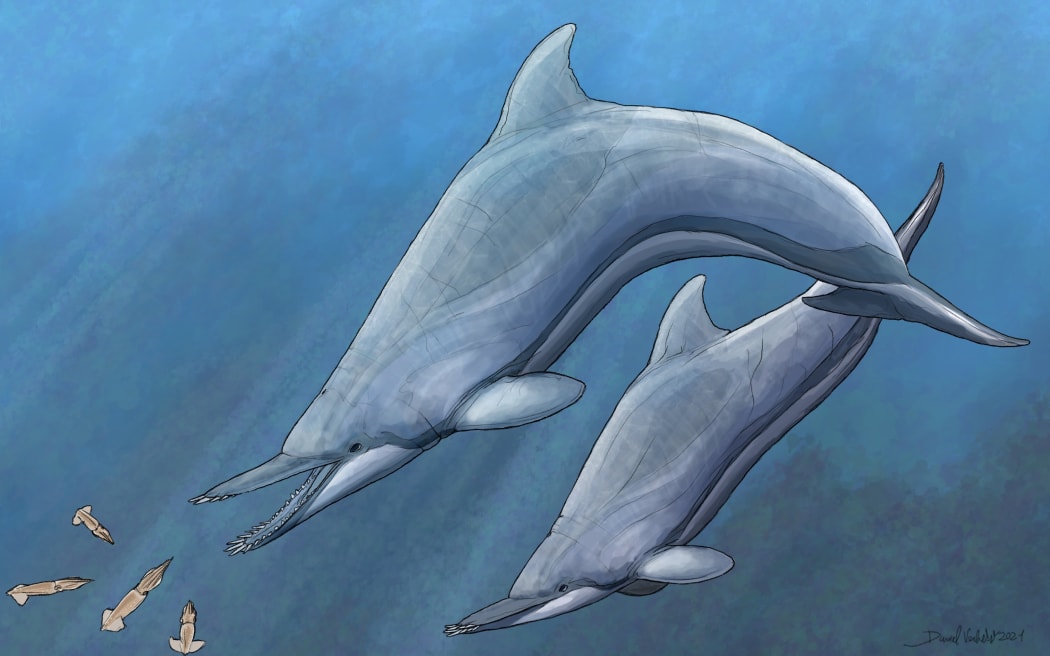 Nihohae matakoi reconstruction