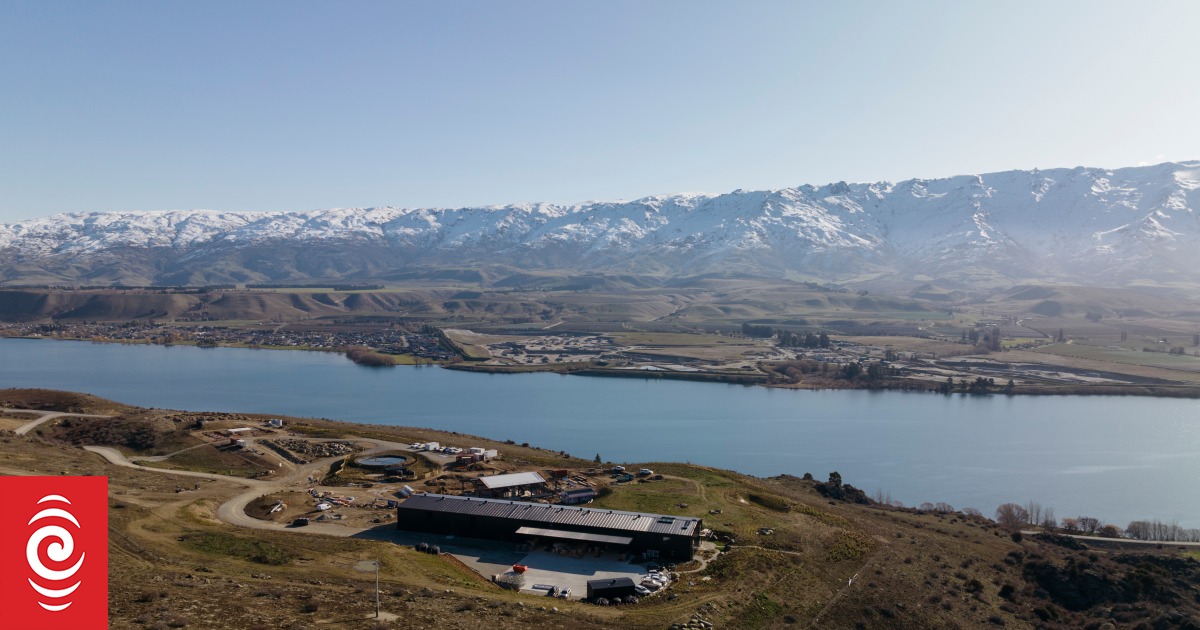 Whiskey and a view? Distillery advertises 'best job in the world' - Vimarsana News