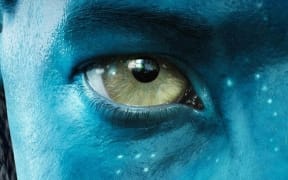 A Na'vi face from the world of Pandora created in the James Cameron movie Avatar