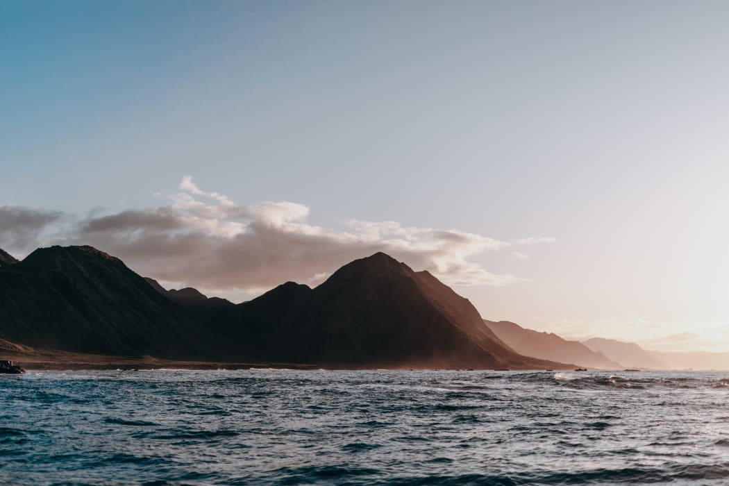 Tora on the Wairarapa coast