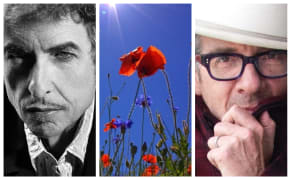 Bob Dylan and Elvis Costello