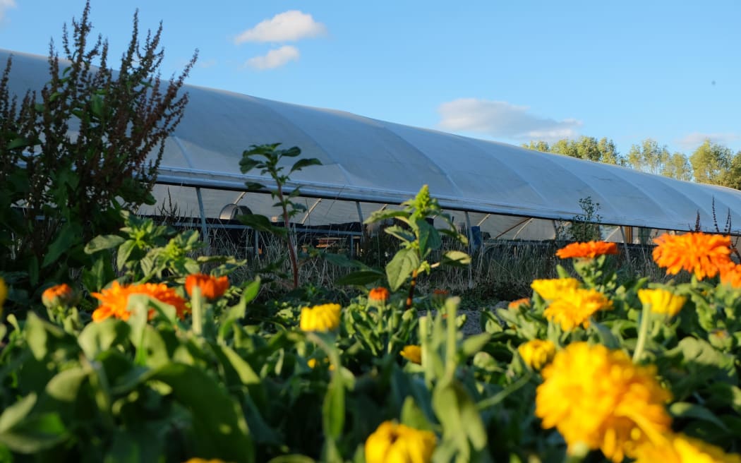 The 9.5-hectare property near Otaki has been BioGro certified continuously for nearly 50 years.