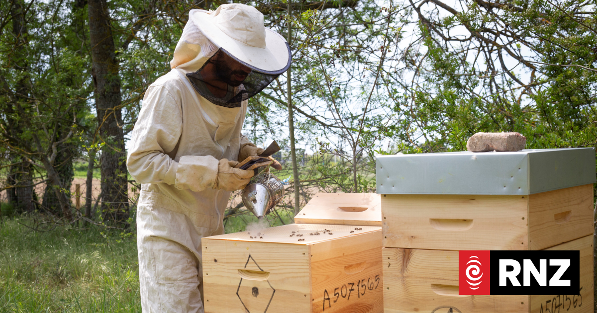 New Zealand Beekeepers Vote to Save Industry Group for a Fresh Start