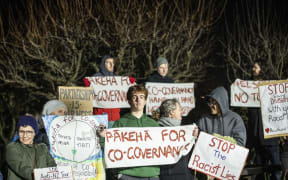 Protestors at Stop Co-Governance meeting in Nelson - single use only