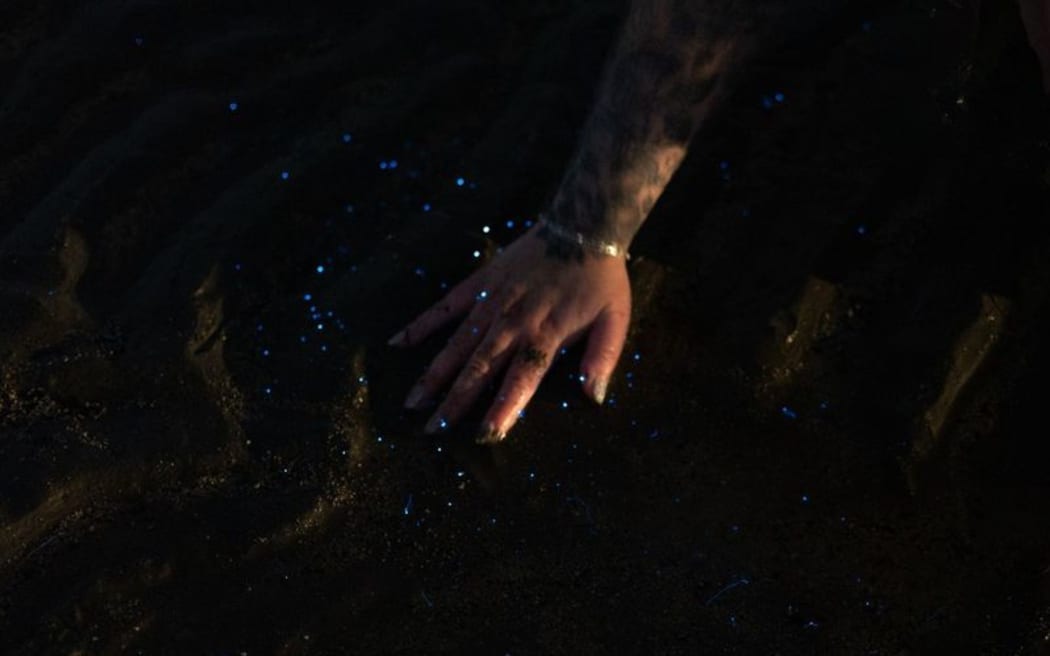 Bioluminescence light show on  Paraparaumu beach