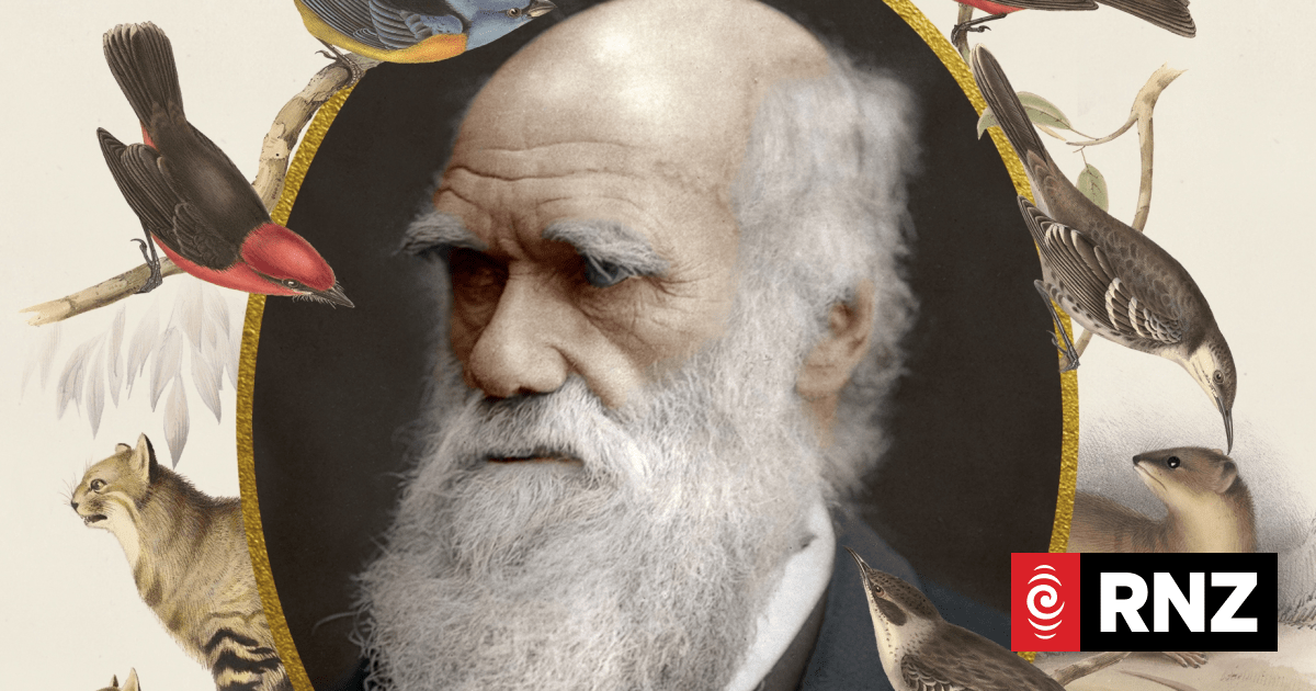 Did Darwin get it wrong? | RNZ