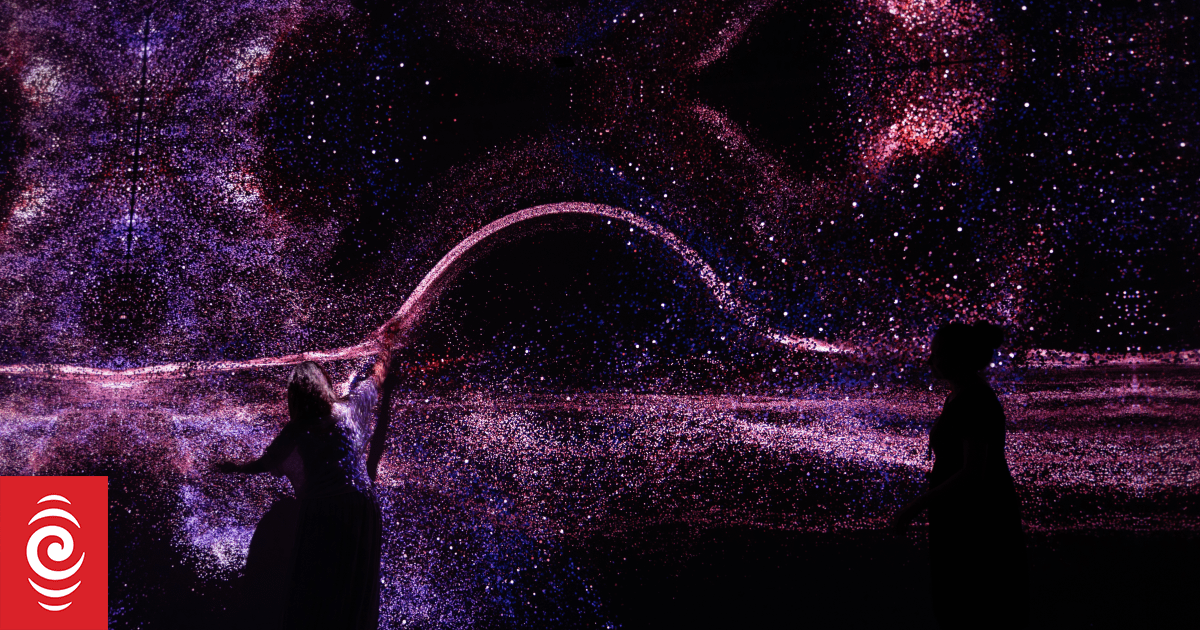 Te Papa exhibition takes visitors on a journey into nature