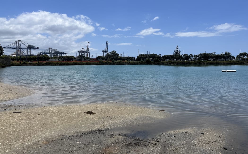 Judges Bay, in Parnell, is a popular summer swimming spot.