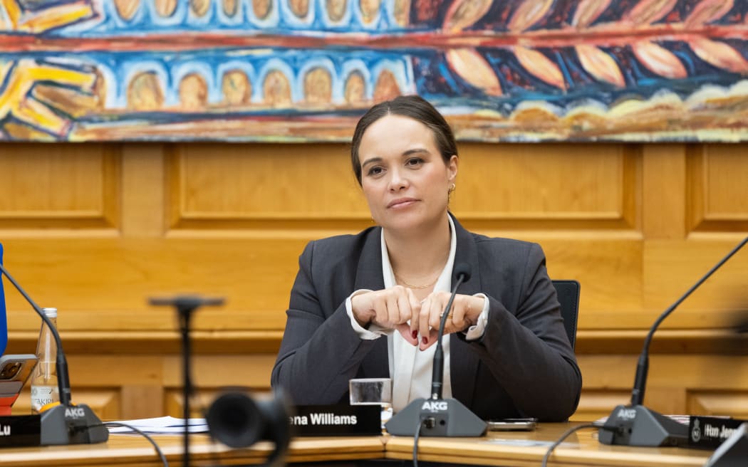 Labour MP Arena Williams chairing Parliament's Regulations Review Committee.