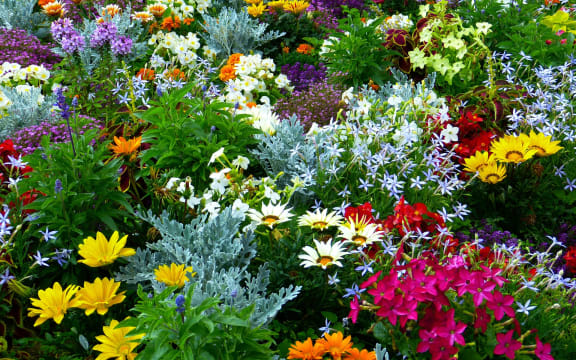 Flower garden