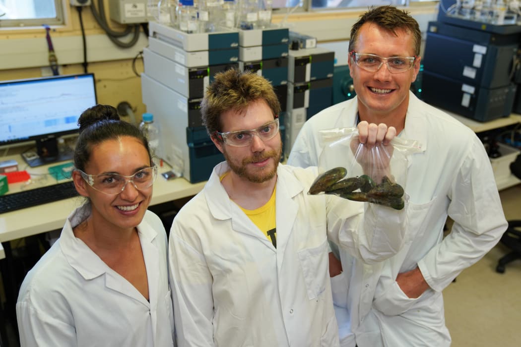Michael Boundy, Emillie Burger, Dr Tim Harwood