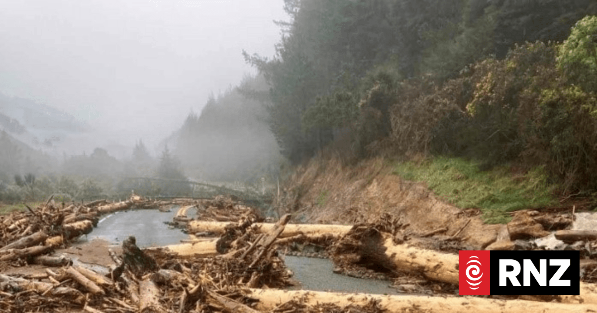 Weak soil geology partly to blame for slash issues after wild weather ...