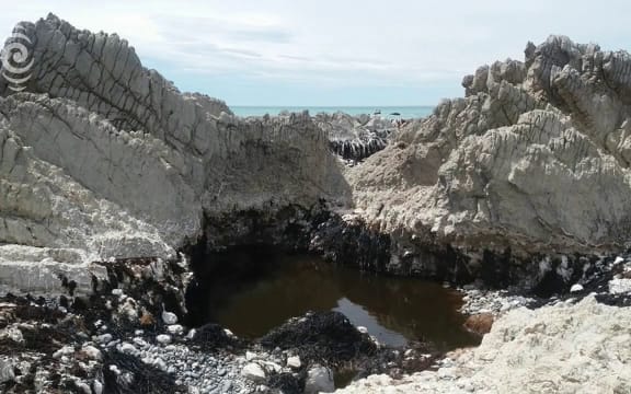 Kaikoura earthquake moved South Island 6 metres closer to North Island