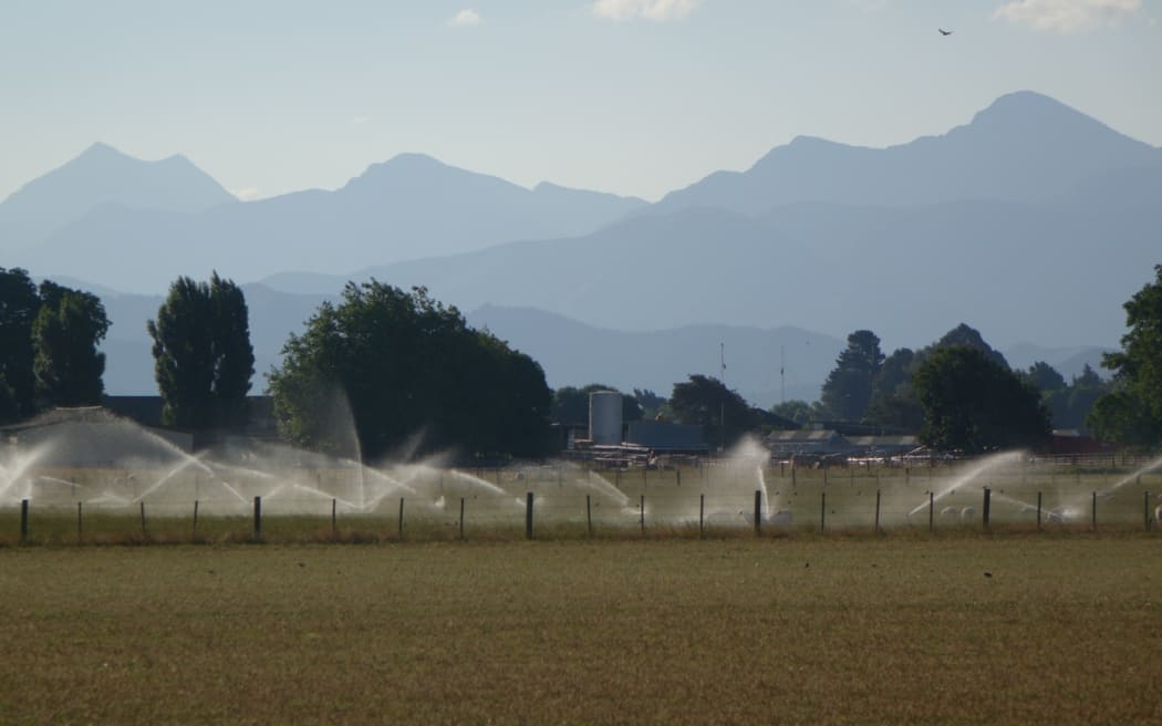 Irrigation in full swing in Marlborough as the country is gripped by high temperatures.