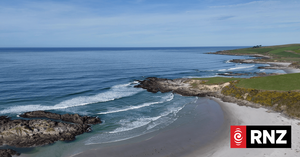New Zealand Establishes First New Marine Reserves in Over a Decade