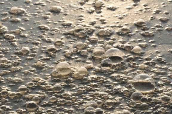 A close up of wastewater. The water is a dirty brown with bubbles